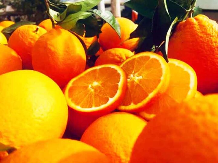 Greek orange Οι Αιγύπτιοι βγάζουν εκτός αγορών το ελληνικό πορτοκάλι, πτώση τιμών απόγνωση παραγωγών 2024