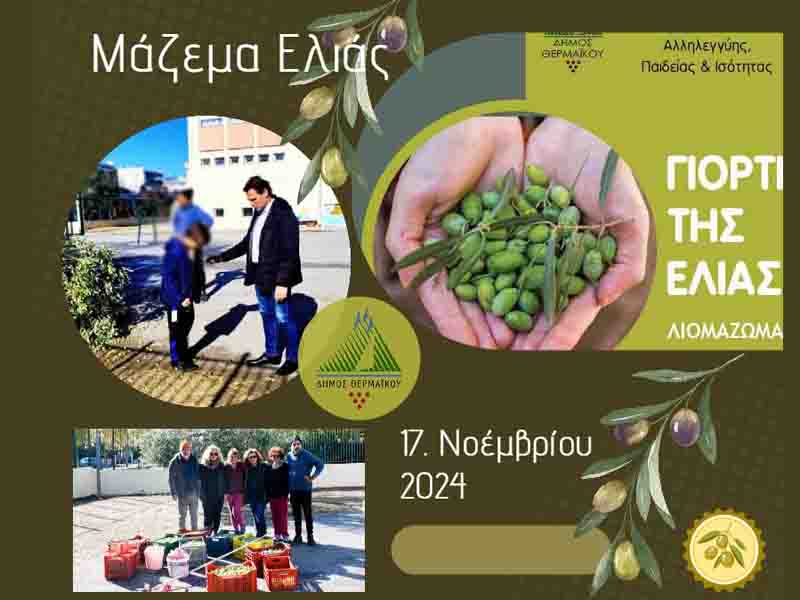 Olive Μάζεμα Ελιάς την Κυριακή 17 Νοεμβρίου