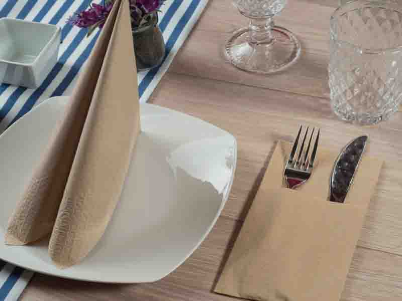 Eco Napkins Οικολογικές Χαρτοπετσέτες