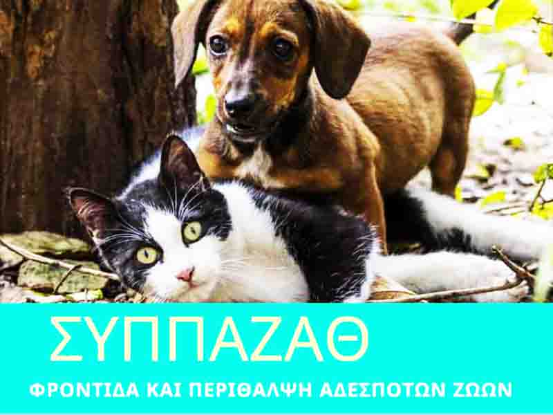 Management of stray animals: Ολοκληρωμένη Στρατηγική Διαχείρισης αδέσποτων 2025