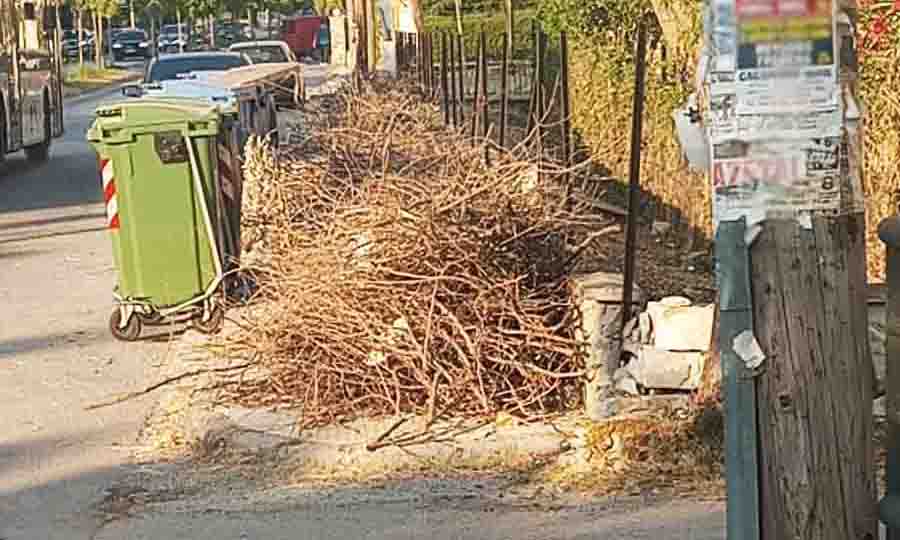 Protect the environment Όχι Άλλα Σκουπίδια: Ας Προστατέψουμε το Περιβάλλον Μας! 2025 5 Αδιαφορία δημοτών παράνομη απόθεση σκουπιδιών