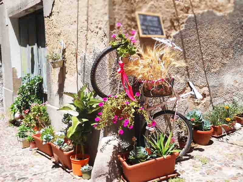 Bicycle Day Η Παγκόσμια Ημέρα Ποδηλάτου: Ένα Όχημα για Αλλαγή 3.6.