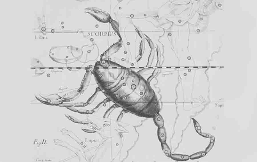 Scorpio Constellation Αστερισμός του Σκορπιού 2025 6 Σκορπιός αστερισμός Scorpio Constellation