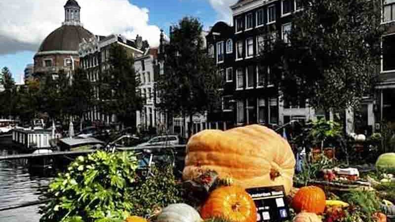 Halloween Γεγονότα για το που πρέπει να γνωρίζεις + 1 μύθος