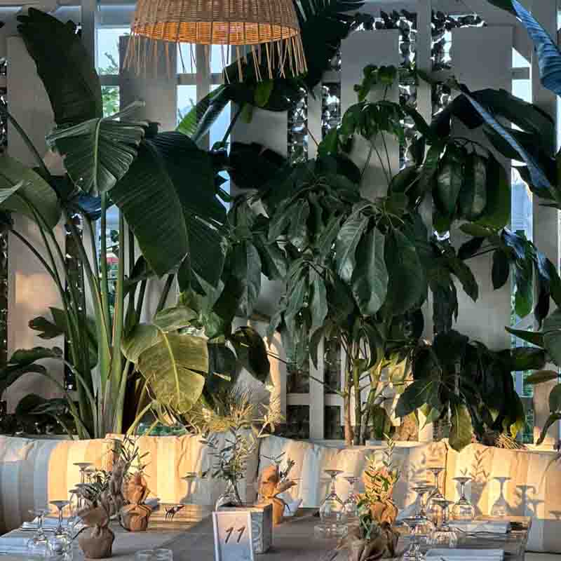 Wedding experience Όταν ο γάμος γίνεται εμπειρία… γίνεται στο Melissa summer 2026 6 Μέλισσα Δεξίωση