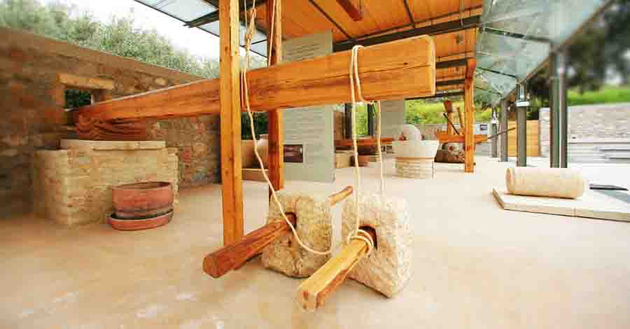 Olive Museum Το Μουσείο Ελιάς και Ελληνικού Λαδιού στη Σπάρτη 1 μοναδικό στην Ελλάδα. 3 Μουσείο Ελιάς Λαδιού Σπάρτη
