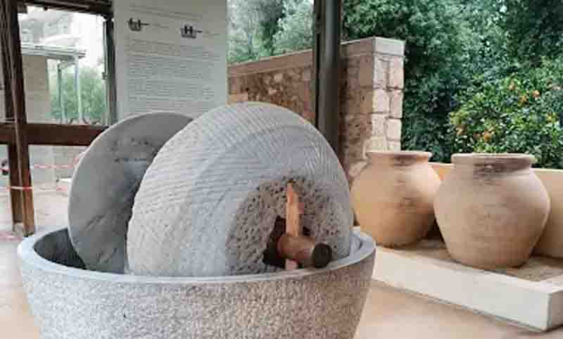 Olive Museum Το Μουσείο Ελιάς και Ελληνικού Λαδιού στη Σπάρτη 1 μοναδικό στην Ελλάδα. 4 Μουσείο Ελιάς Λακωνίας
