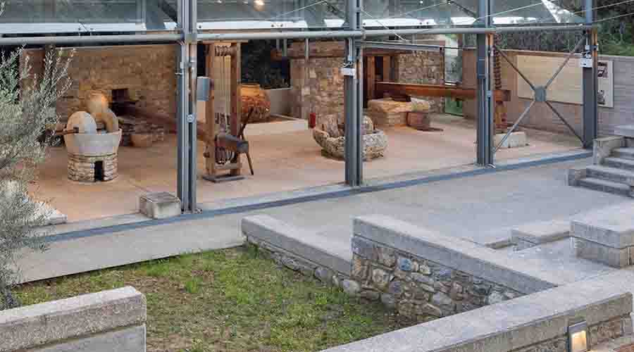 Olive Museum Το Μουσείο Ελιάς και Ελληνικού Λαδιού στη Σπάρτη 1 μοναδικό στην Ελλάδα. 6 Μουσείο Ελληνικού Λαδιού