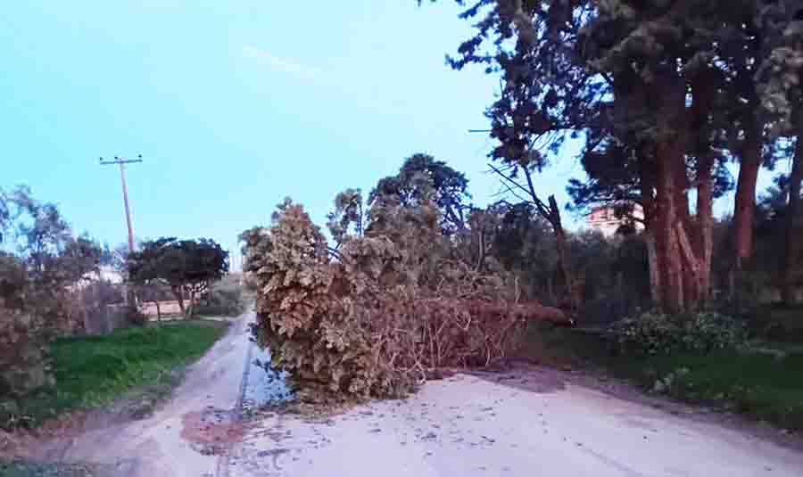 Access interruption Προσωρινή διακοπή πρόσβασης στο ΚΑΠΠΑ 2000 λόγω θυελλωδών ανέμων και πλημμυρικών φαινομένων 3 Access interruption