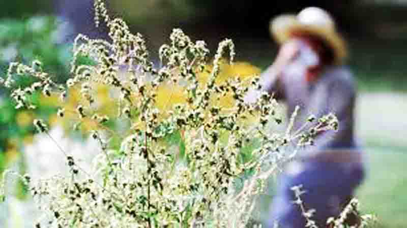Spring Allergies Αλλεργίες και άνοιξη 2026 3 Αλλεργία την Άνοιξη
