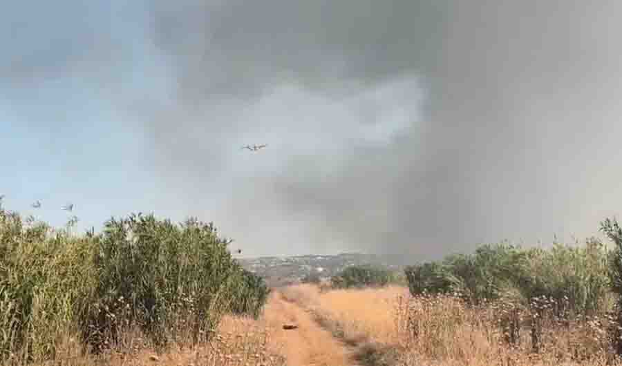 Fire Tsairia Peraia Φωτιά στα Τσαΐρια Περαίας: Μια περιοχή που καίγεται ξανά – και μαζί της η δημόσια υγεία 22 Ιουνίου 3 Πυροσβεστική Υπηρεσία έδρασε με επαγγελματισμό και ταχύτητα