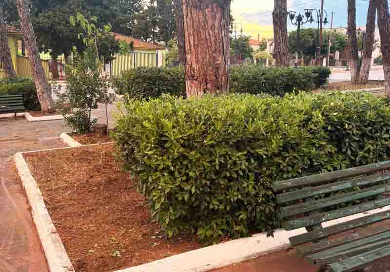 Aggelohori Faros park care Ο Φάρος Αγγελοχωρίου – Παράδειγμα εθελοντισμού και αγάπης για τον τόπο 2026 2 Το πάρκο που έγινε σημείο αναφοράς