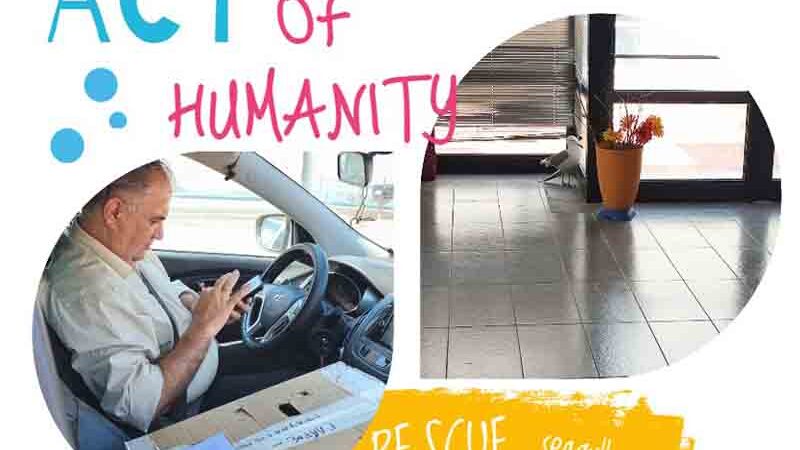 Act of Humanity Πράξη Ανθρωπιάς στην Περαία: Ο τραυματισμένος γλάρος και η συγκινητική διάσωση στο ΚΑΠΠΑ 2000