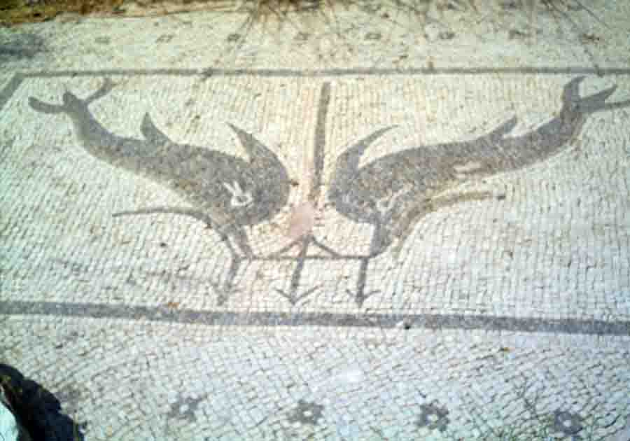 Heraion temple Samos Ηραίων «Σάμος — Στο Ιερό της Ήρας, εκεί όπου γεννήθηκε η αρμονία του Αιγαίου» το 540 π.χ. 3 Ψηφιδωτό στο Ηραίων πάρασταση δελφίνια με τρίαινα του Ποσειδώνα