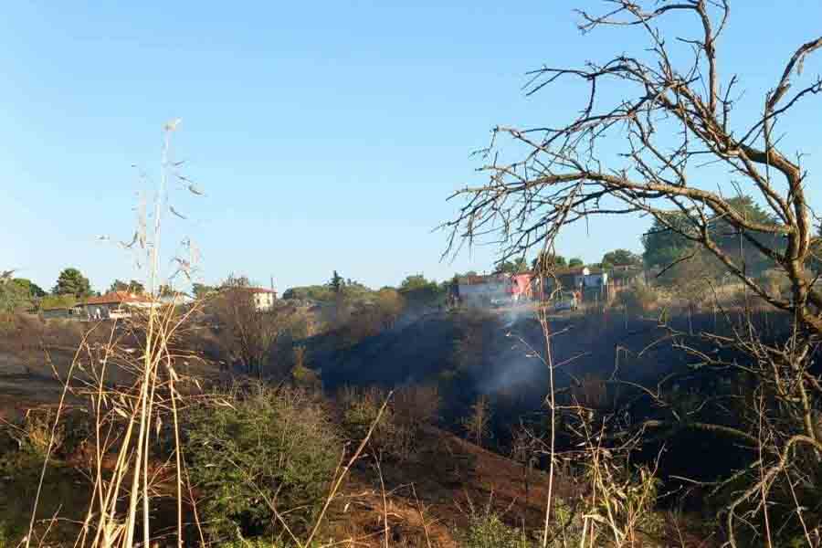 Nea Michaniona wildfire August 2026 Φωτιά στη Νέα Μηχανιώνα – Άμεση επέμβαση εναέριων και επίγειων δυνάμεων 2 Nea Michaniona wildfire August