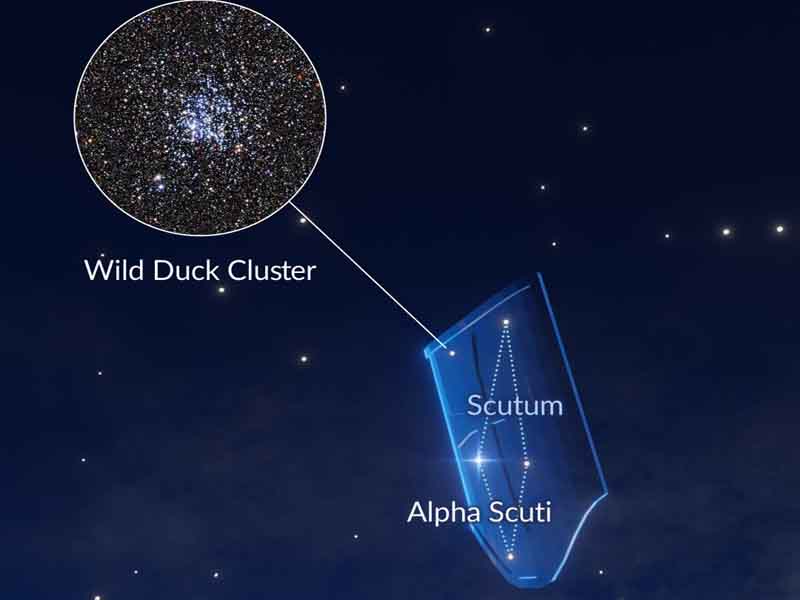 Constellations of August 4 Αστερισμοί του Αυγούστου για παρατήρηση 🔭 νυχτερινού ουρανού 3 Ασπίδα αστερισμός