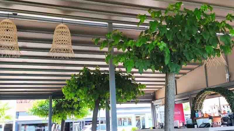 Escape Cafe Nea Michaniona: η απόδραση με θέα Θερμαϊκού κόλπου στη Μηχανιώνα 2026