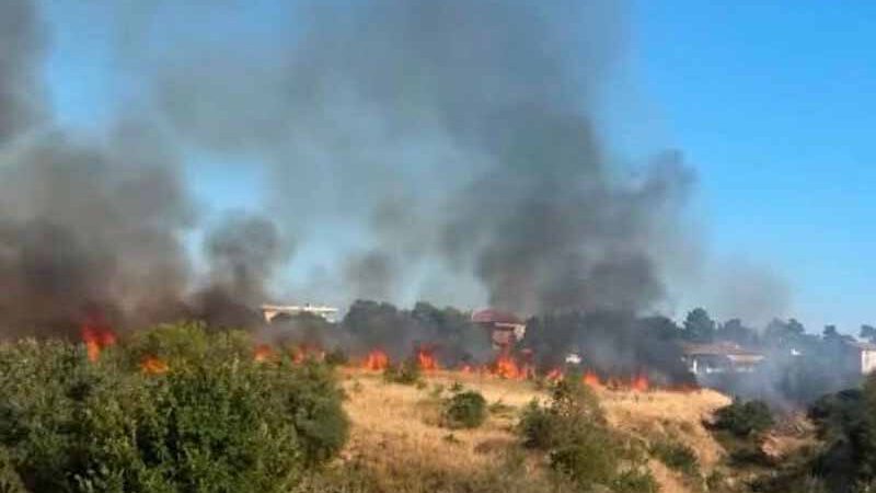 Nea Michaniona wildfire August 2026 Φωτιά στη Νέα Μηχανιώνα – Άμεση επέμβαση εναέριων και επίγειων δυνάμεων