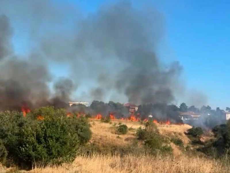 Nea Michaniona wildfire August 2026 Φωτιά στη Νέα Μηχανιώνα – Άμεση επέμβαση εναέριων και επίγειων δυνάμεων