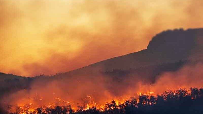 Fire prevention measures Μέτρα Πολιτικής Προστασίας για την Πρόληψη Πυρκαγιών: Υποχρεώσεις και Απαγορεύσεις 2026