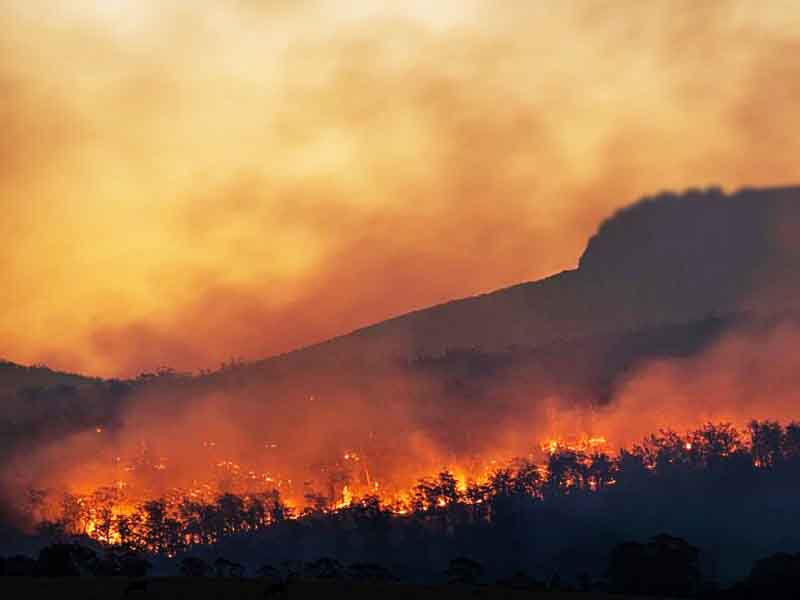 Fire prevention measures Μέτρα Πολιτικής Προστασίας για την Πρόληψη Πυρκαγιών: Υποχρεώσεις και Απαγορεύσεις 2026