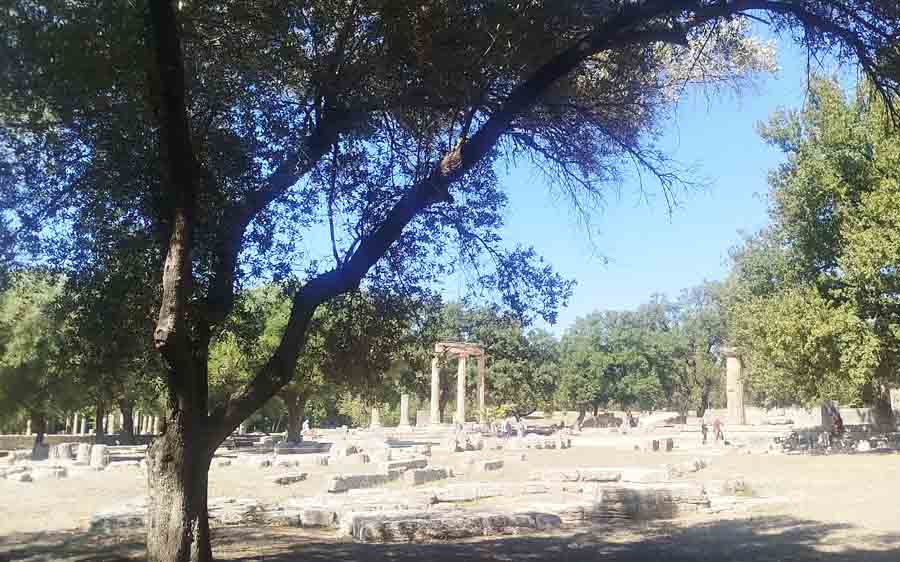 Ancient Olympia Αρχαία Ολυμπία: Εκεί όπου γεννήθηκε το Ολυμπιακό ιδεώδες 4 Αρχαία Ολυμπία με αρχαία ερείπια, κίονες και σκιερά δέντρα στον ιστορικό αρχαιολογικό χώρο.